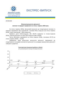 Фінансові результати діяльності великих та середніх підприємств за січень-червень 2024 року - 3