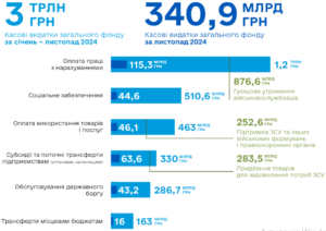 Видатки держбюджету за 11 місяців 2024 - 3
