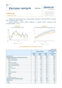Індекси цін у червні 2025 року - 3
